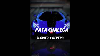 Imran Khan  Pata Chalegaslowed  Reverb  Ninjacpm5768 [upl. by Yttak]