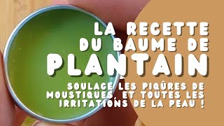 La recette du baume de plantain express 🌿 [upl. by Blayze]