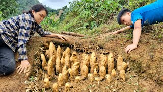 A Lucky Day for the Mute Boy and Girl  Harvesting Strange Potatoes to Sell at the Market l Cooking [upl. by Adriana]