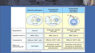 T Cell Ontogeny and Tolerance and the Case of AIRE Deficiency [upl. by Itsud]