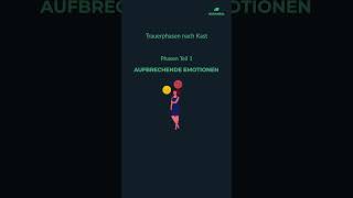 Trauerphasen nach Kast Phasen Teil 1 einfach erklärt pflegeausbildungtrauerphasenverenakast [upl. by Oilenroc]