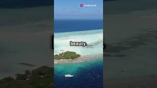 Epic 60 Second Journey Through Kiribati ai facts travel [upl. by Maire]