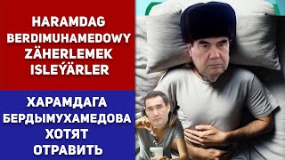 Turkmenistan Haramdag Berdimuhamedowy Zäherlemek Isleýärler  Харамдага Хотят Отравить [upl. by Presber]