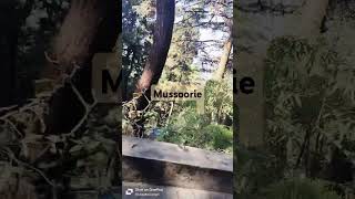 Buddha temple in mussoorie music musica calmdown cover [upl. by Merrily]