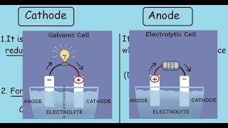 Cathode and Anode Quick differences and comparisons [upl. by Tatiana610]