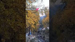 punjabi song kasol himanchalpradesh himachal kasoldiaries kullumanali kullu [upl. by Aisyle924]