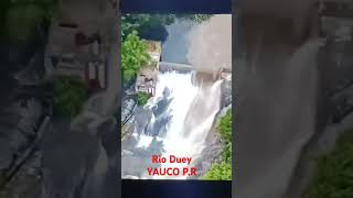 Momento exacto de super crecida de Río Duey Yauco PR OMG viralvideos youtubeshorts river fyp [upl. by Ecnatsnoc630]