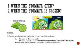 Sains itu mudah DLP science Form 1Plant leaf cell cuticle Palisade cell spongy mesophyllPT3 [upl. by Tomkins625]