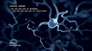 Redes 160 Cómo se conectan las neuronas  neurociencia [upl. by Nahtanha487]