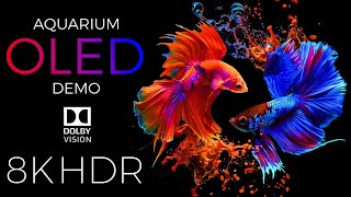 Aquarium OLED Demo HDR 8K Ultra HD Dolby Vision™ 60fps [upl. by Yentuoc709]