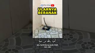 tetap tenang walaupun sedang panik baca doa ini [upl. by Randy]