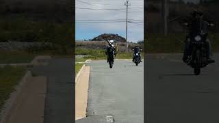 MINDBLOWING downhill Harley wheelie trending viral shorts [upl. by Smitt]