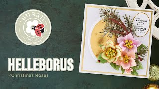 Spellbinders Helleborus Christmas Rose by Susan TierneyCockburn HowTo [upl. by Burrow551]