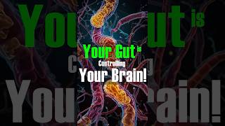 Your Gut Bacteria Can Influence Your Mood and Cognition gutbrainaxis mentalhealth guthealth [upl. by Inot]