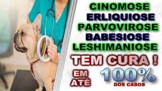 Tratamento para cinomose  parvovirose  erliquiose  babesiose  leshimaniose com eficacia de 100 [upl. by Eaves126]