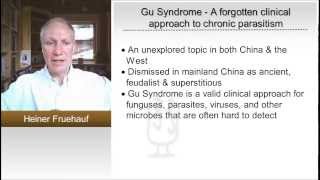 Herbal Medicine Gu Syndrome Could Be Controlling Your Brain [upl. by Harrak906]