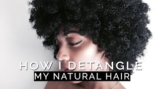 Detangling Natural Hair  How I Cut My Detangling Time in HALF Detailed Demo [upl. by Witherspoon]