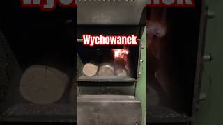 Wychowanek TVN Rotacyjny Marszałek [upl. by Jara229]