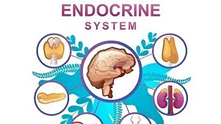 Endocrine System Nursing Introduction Part  1 [upl. by Gnaw875]