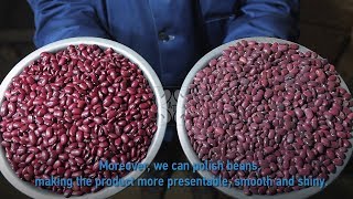 Processing of red kidney beans  ABADA Trade [upl. by Garfinkel971]