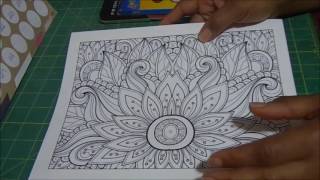 Free Adult Coloring Pages [upl. by Amand]