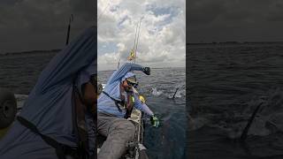 Foul hooked Sailfish dragged us for hours kayakfishing hobiefishing florida sailfish fishing [upl. by Ynaffi]