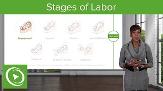 Stages of Labor Stages 1 2 amp 3 of Normal Labor – Obstetrics  Lecturio [upl. by Arhsub111]