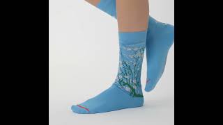 MuseARTa Socken  Vincent van Gogh  Almond Blossom [upl. by Geller499]