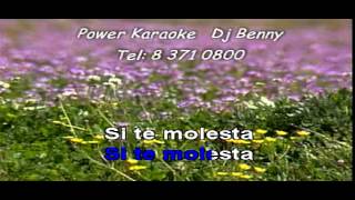 Un millon de primaveras VICENTE FERNANDEZ POWER KARAOKE VOZ [upl. by Zurek]