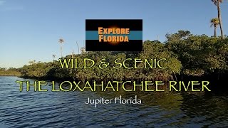 Explore Florida Wild amp Scenic Loxahatchee River [upl. by Rana]