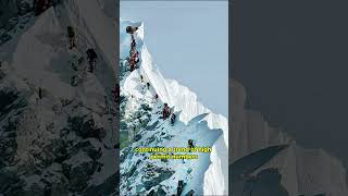 The Collapse at Hillary Step Tragedy Strikes Everest 2024 everest [upl. by Isman813]