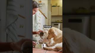 Pet Care Myths Busted🐶🐱🐾 youtubeshorts ytshorts catsanddogs petlovers pets cat dog pet care [upl. by Anahsar]