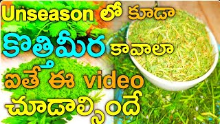 సంవత్సరం పాటు కొత్తిమీర నిల్వ చేయాలా Homemade coriander powderdry coriander leaves amppowder🤷‍♀️ [upl. by Cordula550]