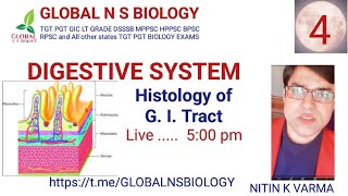 Digestive system Lecture 4 [upl. by Nnylf]