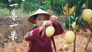 Fruit Compilation 1  Lychee Longan Mango A collection of Yunnan fruits documented before [upl. by Llerut]