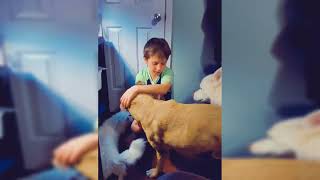 Heartwarming moment Louisiana boy reassures his pit bull rescue dog he is so loved after he saved [upl. by Sumetra534]