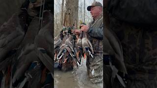 🌳 GREENHEADS IN THE GREEN TREES [upl. by Lavoie]