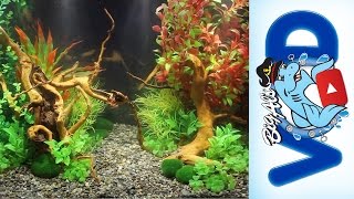 How to use Fake Aquarium Plants to Create Stunning Natural Aquascapes  Big Als [upl. by Eihtur352]