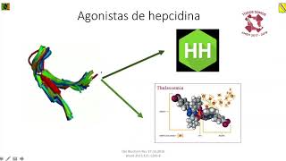 METABOLISMO DEL HIERRO2 [upl. by Ashman716]