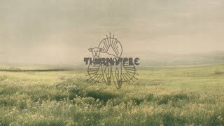 쏜애플THORNAPPLE EP 동물 Official Trailer [upl. by Alakcim]