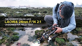 Laowa 24mm Underwater Field Test [upl. by Rovner]