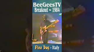 Bee Gees TV quotBreakoutquot 1984 Italy [upl. by Kired185]