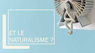 NATURALISME ET REALISME  16 minutes pour tout comprendre [upl. by Ahseuqram]