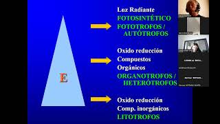 Metabolismo bacteriano MO en los alimentos [upl. by Sulecram642]