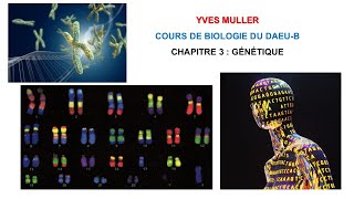 Chapitre 3 – Génétique  Cours de Biologie du DAEUB [upl. by Teleya]