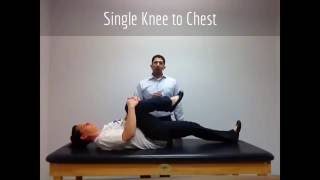 Lower Back Exercises for Arthritis Spinal Stenosis DDD and Muscle Strains [upl. by Saunder]