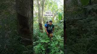 Trail Training Ascend Toril Vipers Peak rap music travel hiking nature trailrunning shorts [upl. by Nicolette]