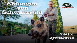 Abfangen von Schwarzwild  Teil 2 Kurzwaffe [upl. by Nylaj]