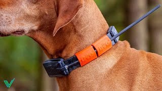 Los 5 Mejores Collares GPS para Perros en 2024 [upl. by Arramas]