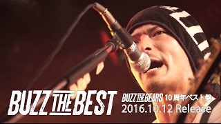 BUZZ THE BEARS  ALBUM「BUZZ THE BEST」初回特典映像ダイジェストトレイラー [upl. by Ailahk]